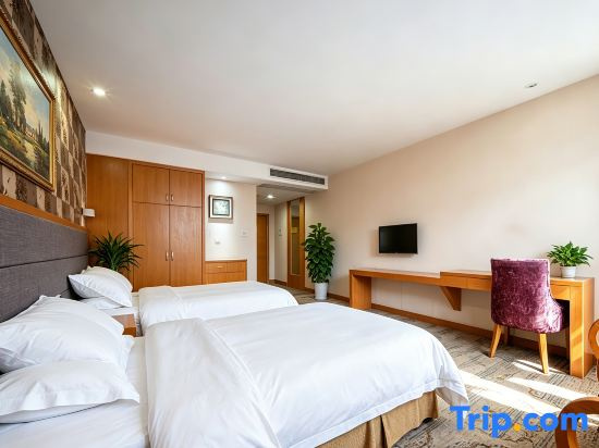 Standard Double room with street view (twin beds)