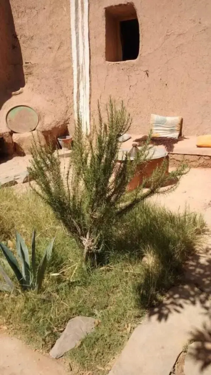 La maison saharaouie - Général