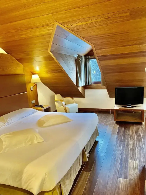 Comfort Double room (full double bed)