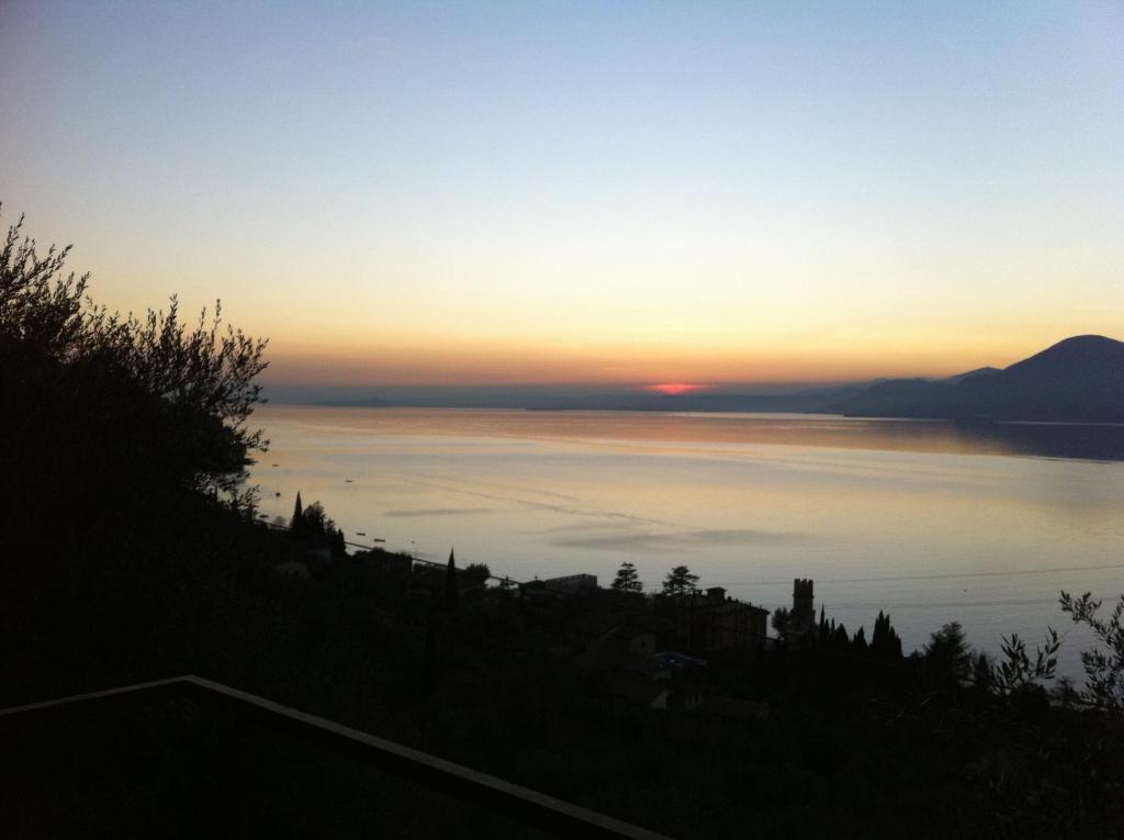 Image 11