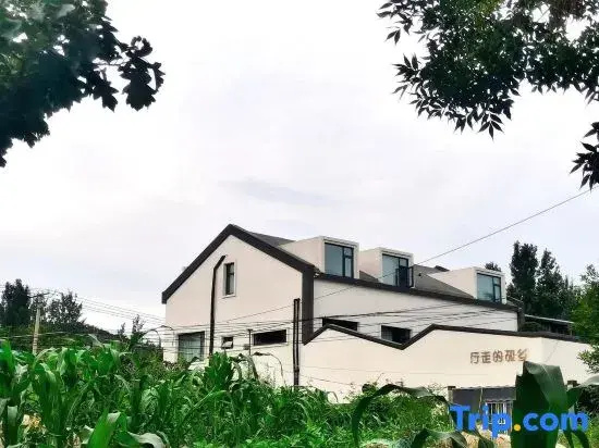 Xingzoude Guxiang Homestay (Tianjin Jizhou International Ski Resort)