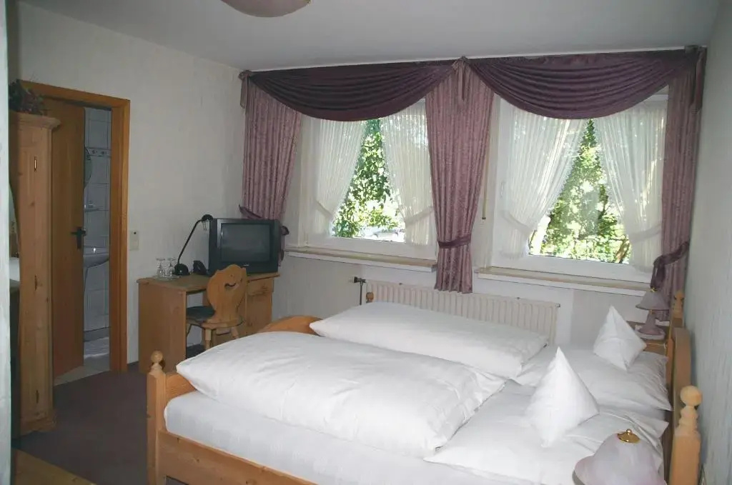 Standard Double room (full double bed)