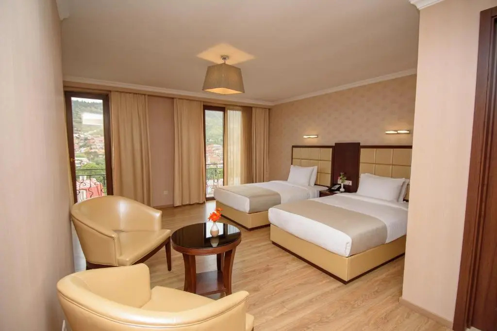 Panorama Double room with city view (twin beds)