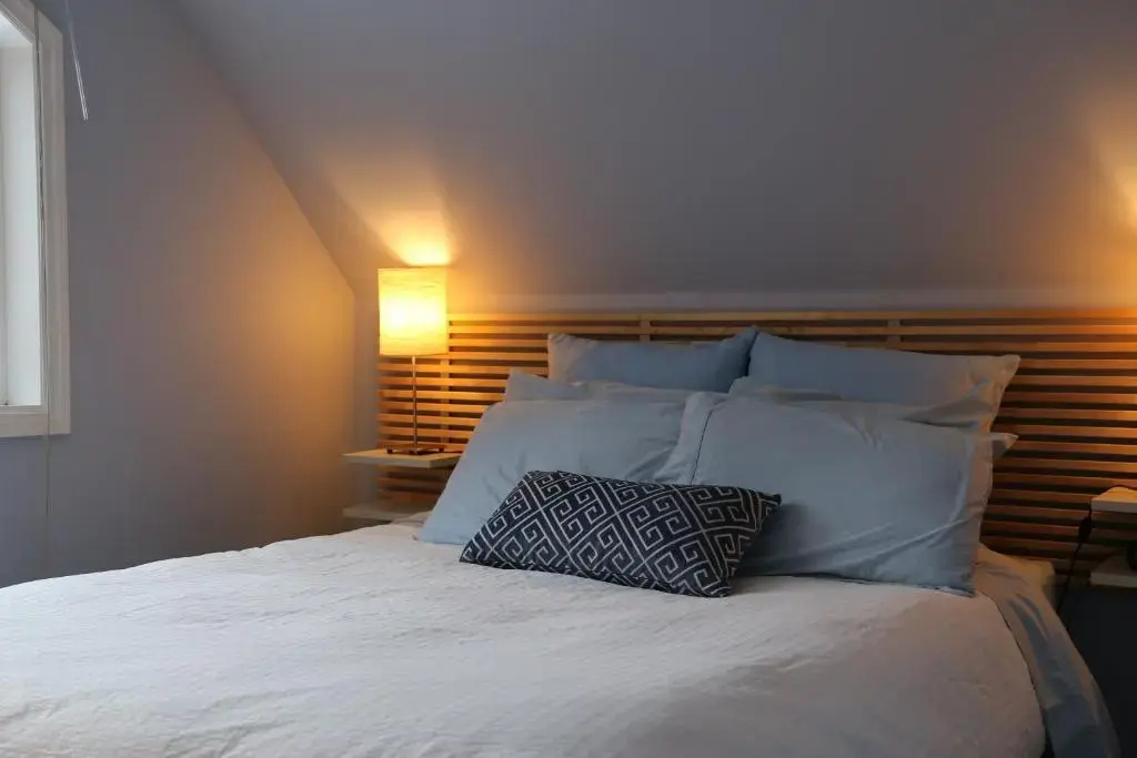 Standard Double room with garden view (full double bed)