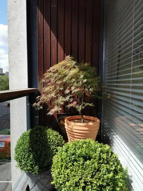 luxury Travel London Stratford Apartment Holiday Home