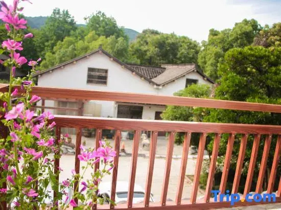 Balcony & Terrace