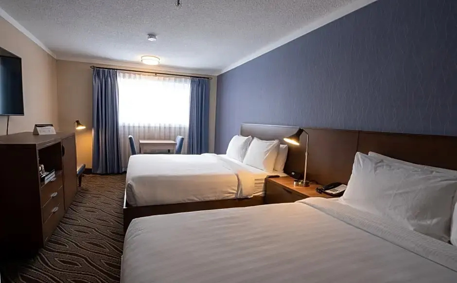 Standard room with mountain view