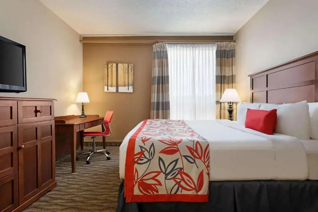 Standard room with view