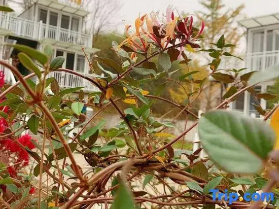 Ningguo Wangzhuyuan Farm Stay