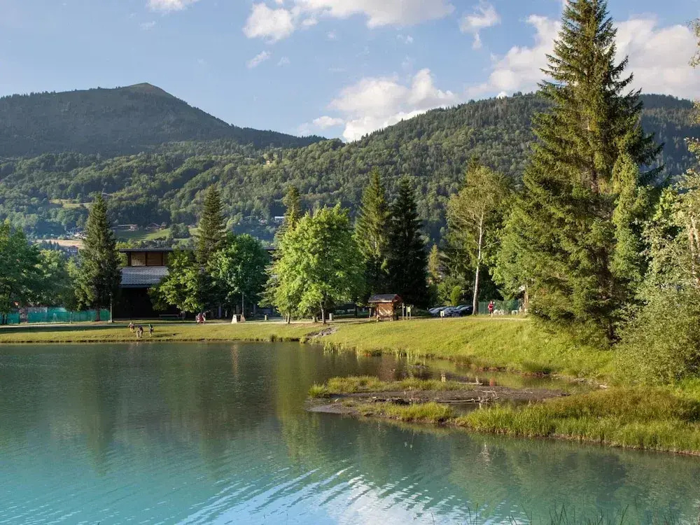 Chalet in Samoens Near Grand Massif Lift