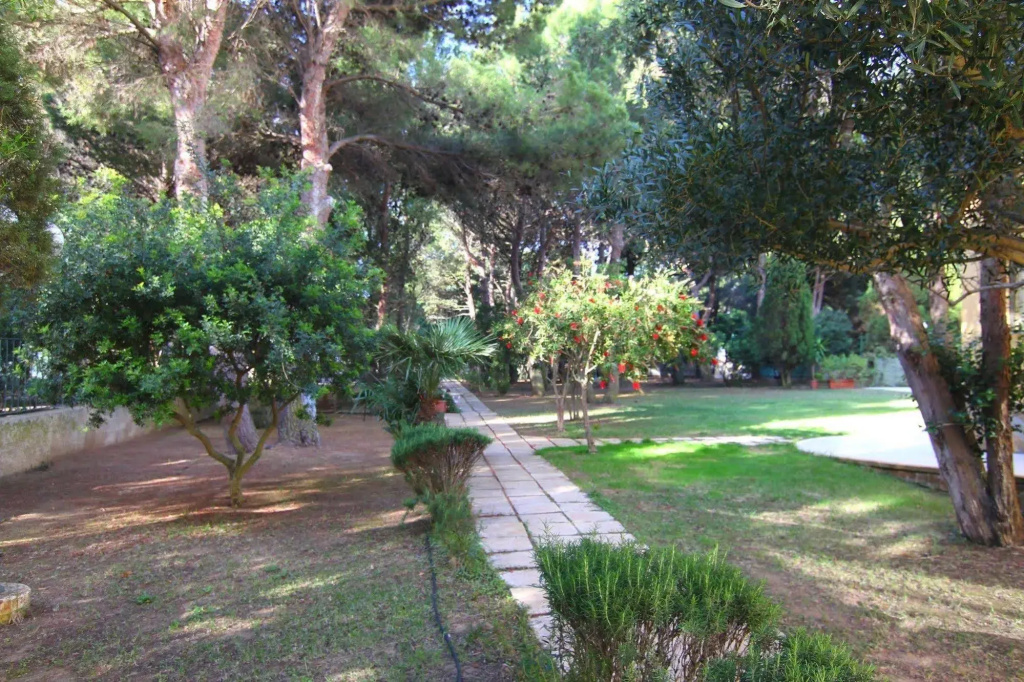 Hotel Cala dei Pini - Général