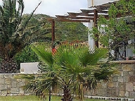 Anthoula 2 *