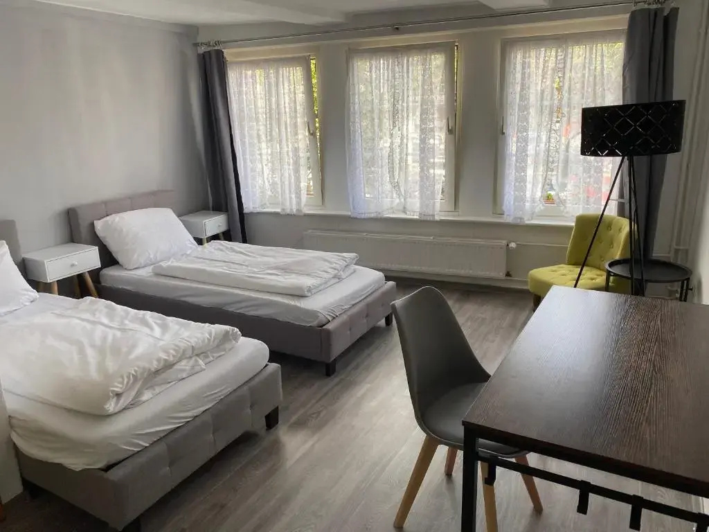 Standard Double room (full double bed)