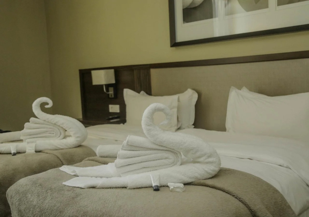 Hotel Pullman Lubumbashi Grand Karavia - Général