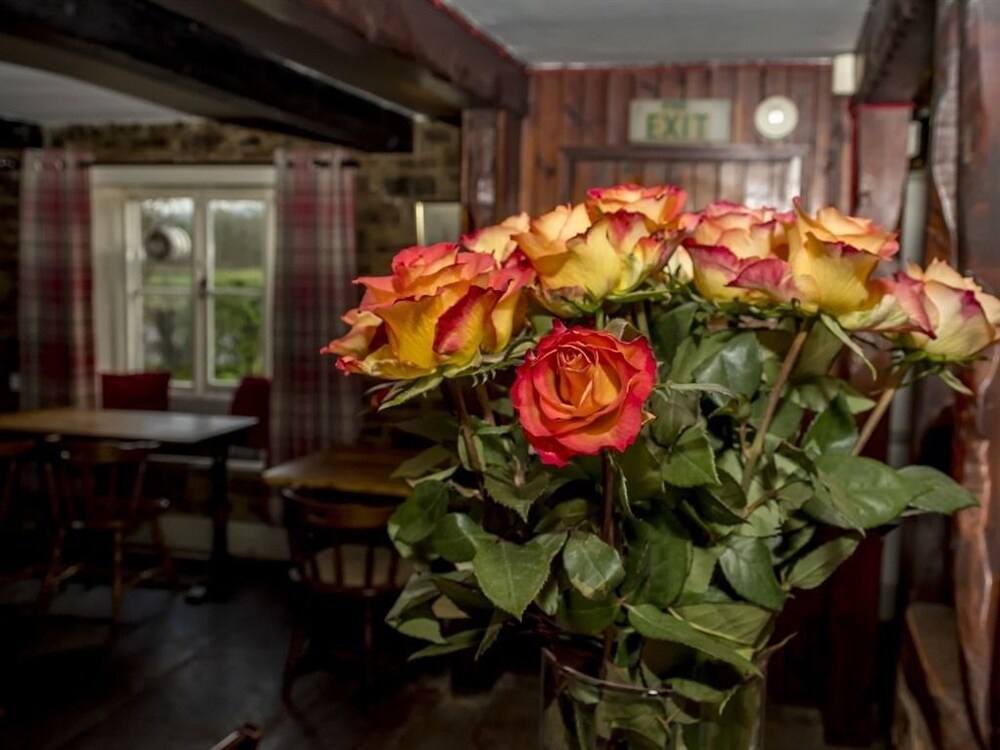 The Apple Tree Inn