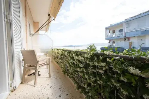 Balcony & Terrace