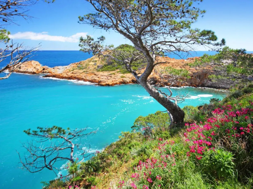Beach & Waterfront