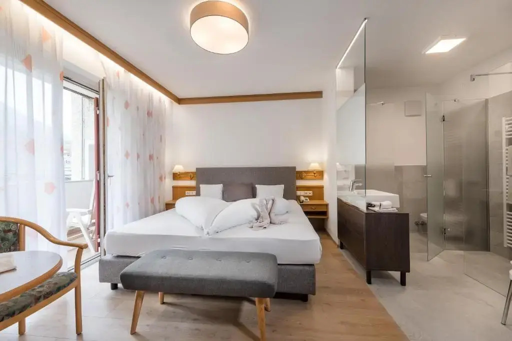 Standard Double room with mountain view (full double bed)