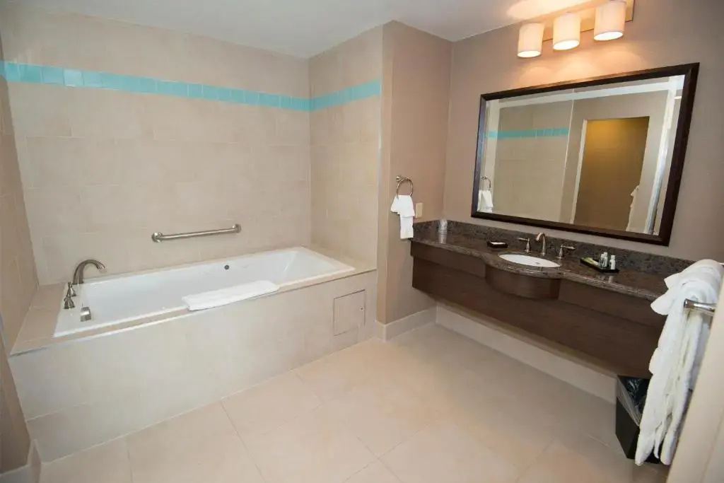 1 Bedroom Suite