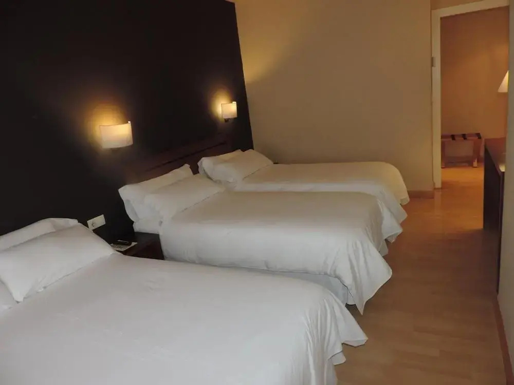 Hotel Puerta de España - Général
