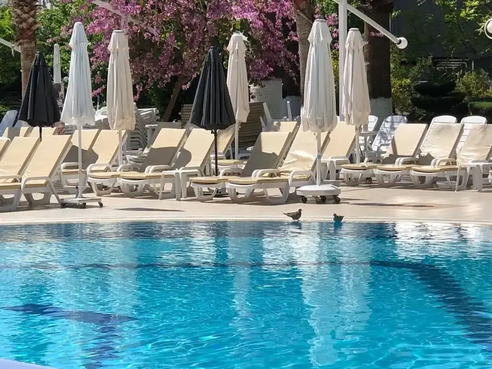 Hotel photo 11