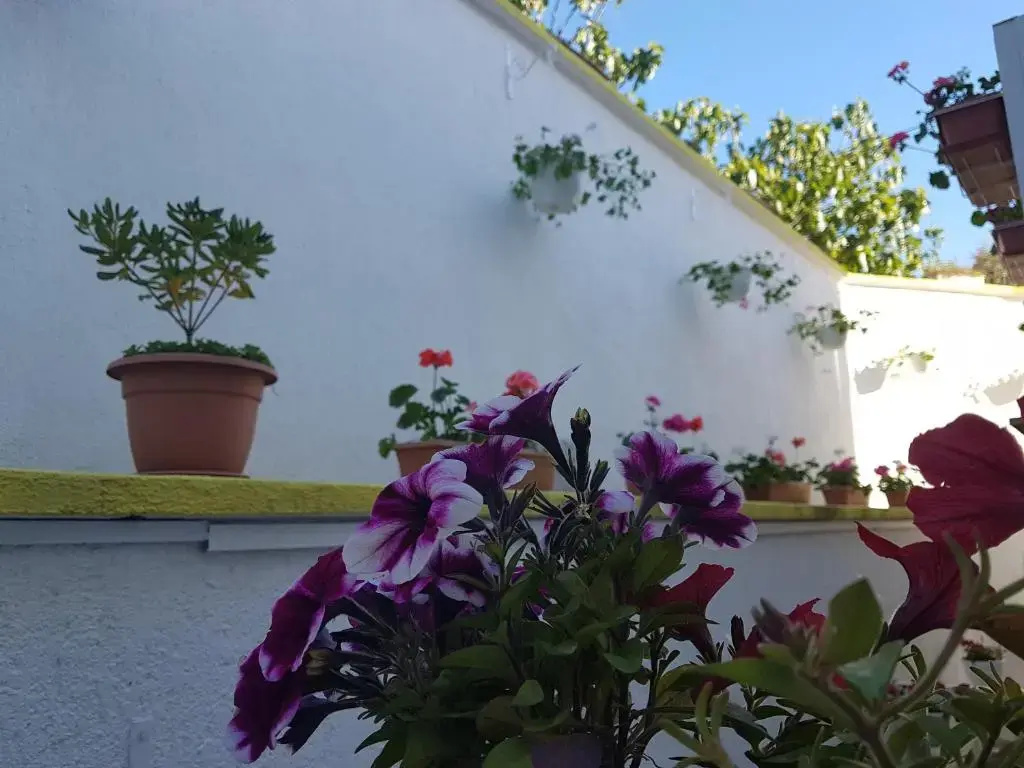 Hotel Argentum - Chambres