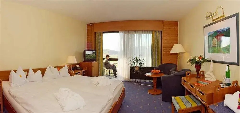 Arcadia Hotel Sonnenhof Grafenau - Général