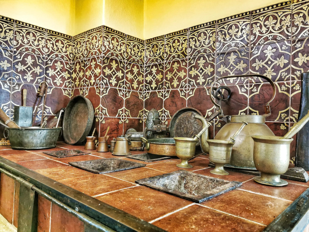 Cotommatae Hydra 1810 by null