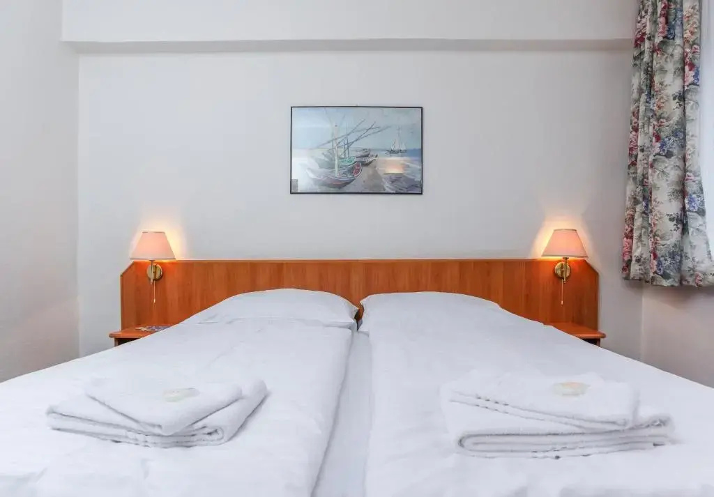 Standard Double room (full double bed)