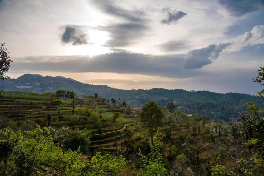 Evaan Resorts The Foliage