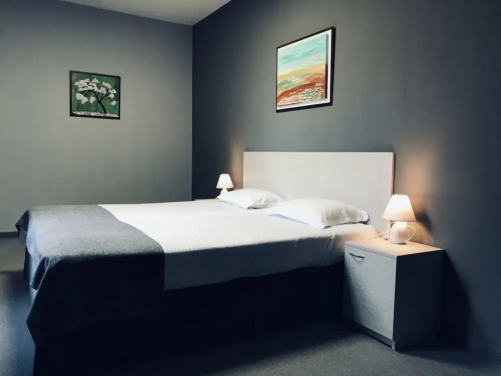 1 Bedroom Classic Apartment with balcony