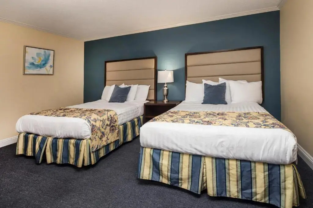 Standard Double room (full double bed)
