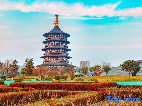 Slow Joy Homestay (Sui and Tang Dynasty Luoyang City Yingtianmen Site Store)