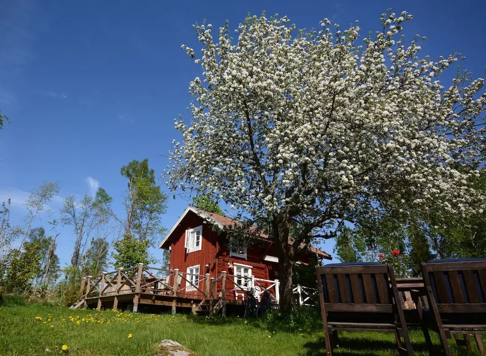 Eden's Garden Cottages - фото 4