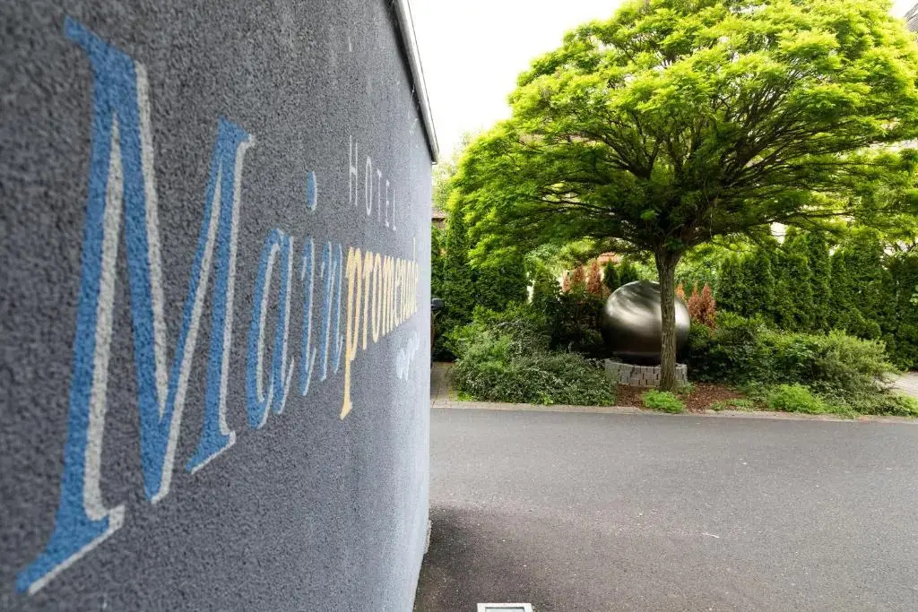 Hotel Mainpromenade - Général