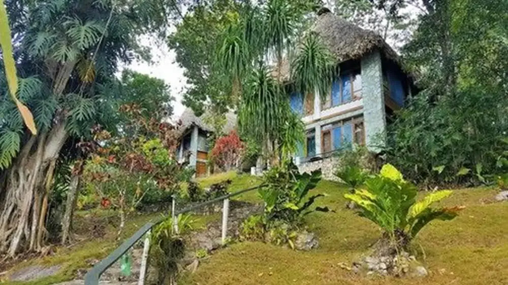 La Mansion Del Pajaro Serpiente