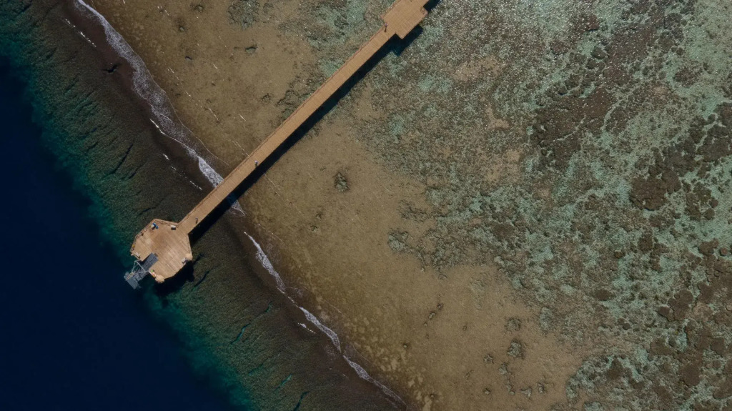 ONATTI Beach Resort - Marsa Alam - фото 34