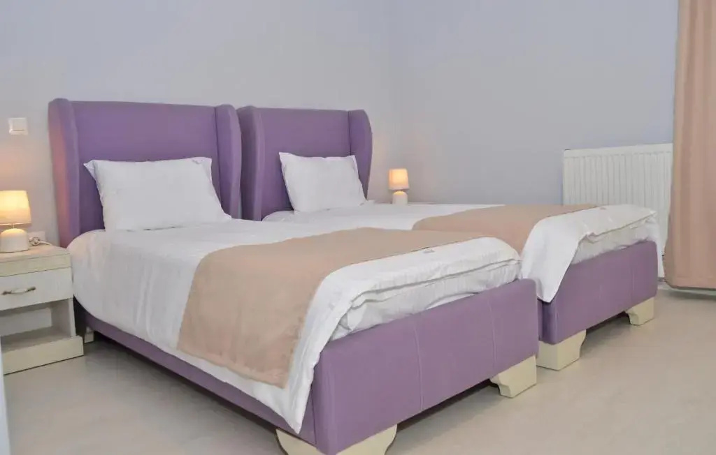 Standard Double room (twin beds)