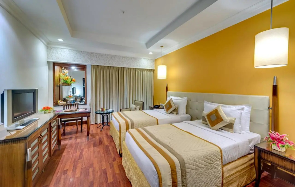Hotel Hindusthan International - Général