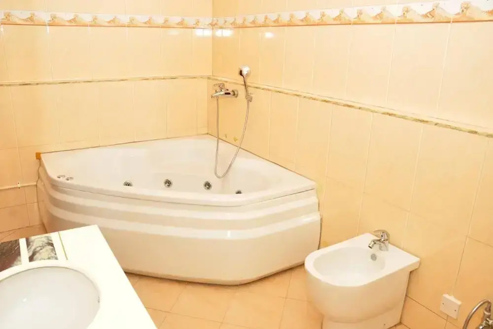 Biraj International Hotel - Général