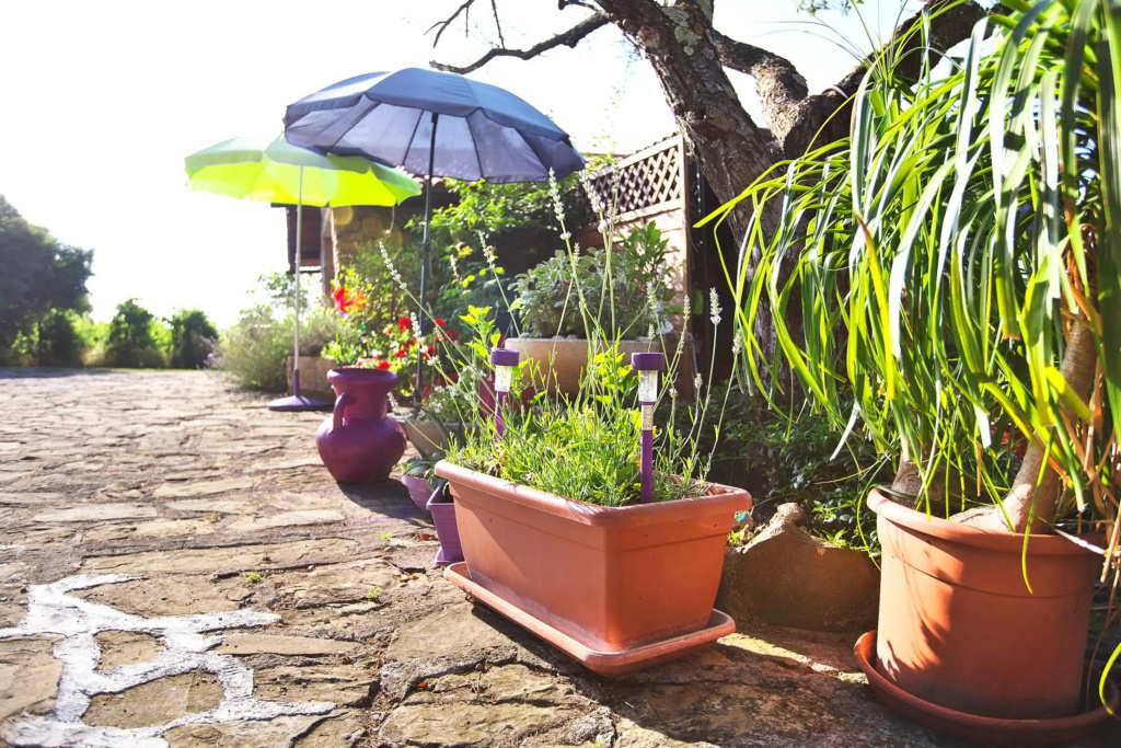 Cozy Istrian House