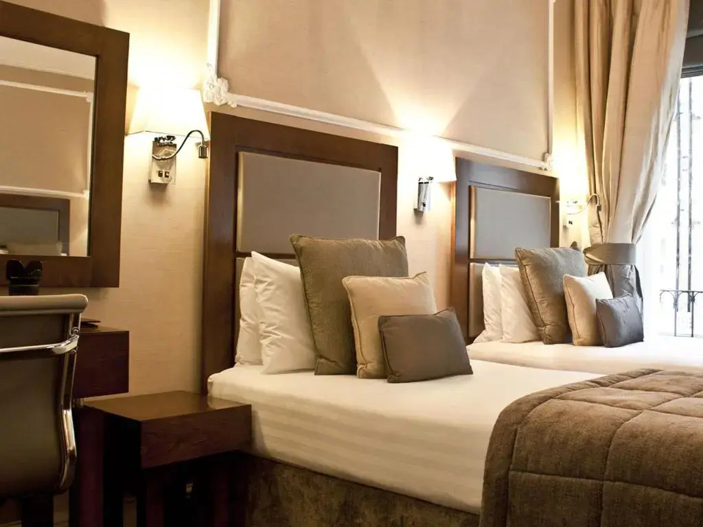 Superior Double room (twin beds)