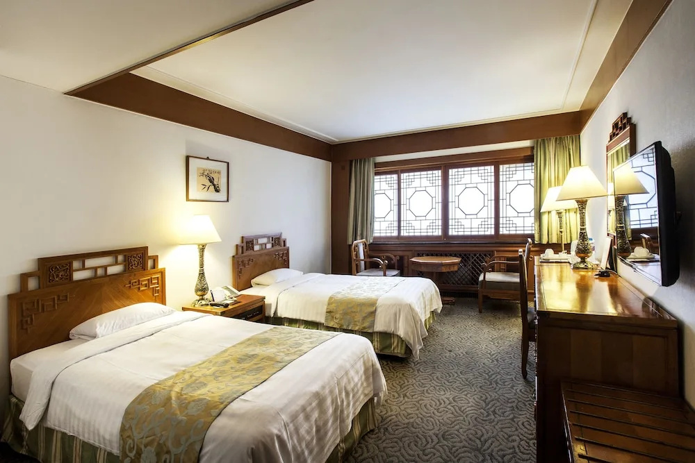 Standard Double room with city view (twin beds)