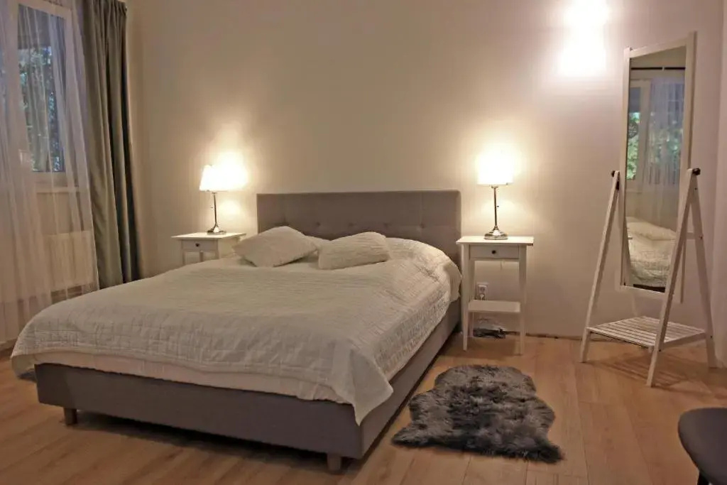 Standard Double room (full double bed)