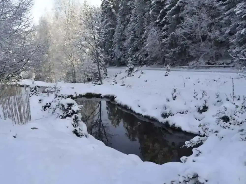 Gite Gretel, in a Green Setting by a Stream