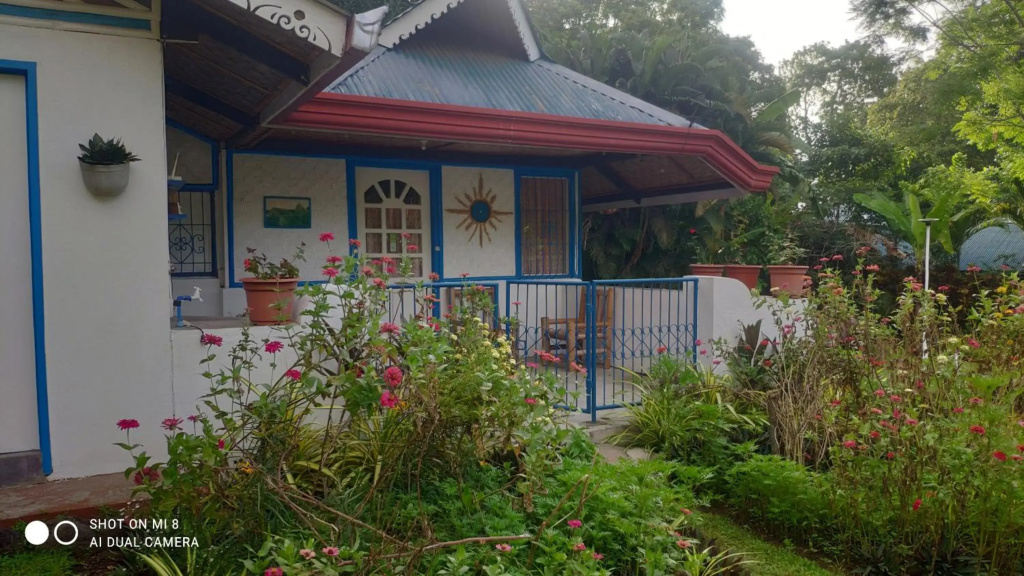 Sun House Rental