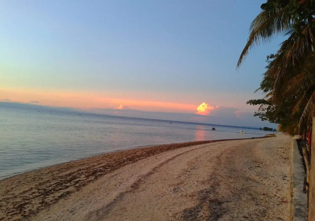Beach & Waterfront
