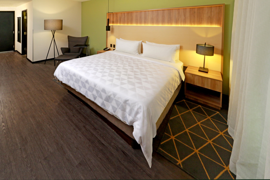 Holiday Inn San Luis Potosi Quijote by IHG - Général