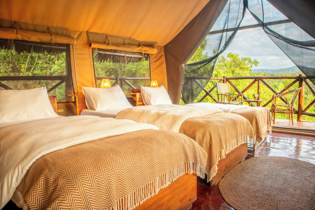 Rhotia Valley Tented Lodge by null
