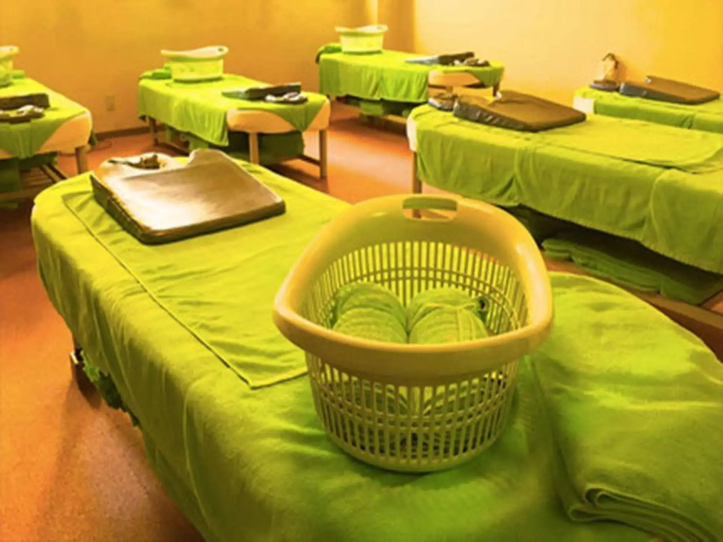 Hana Hotel Fukaya & Spa - Général